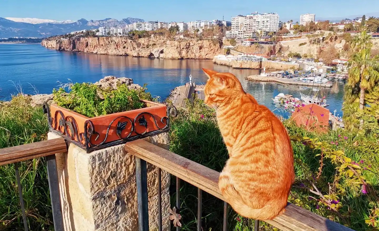 Karaalioglu Park, Antalya, Kaleici, Old Town, green park, city views, gardens, walking paths, family area, nature, Mediterranean, relaxing, famous park, playground, scenic spots